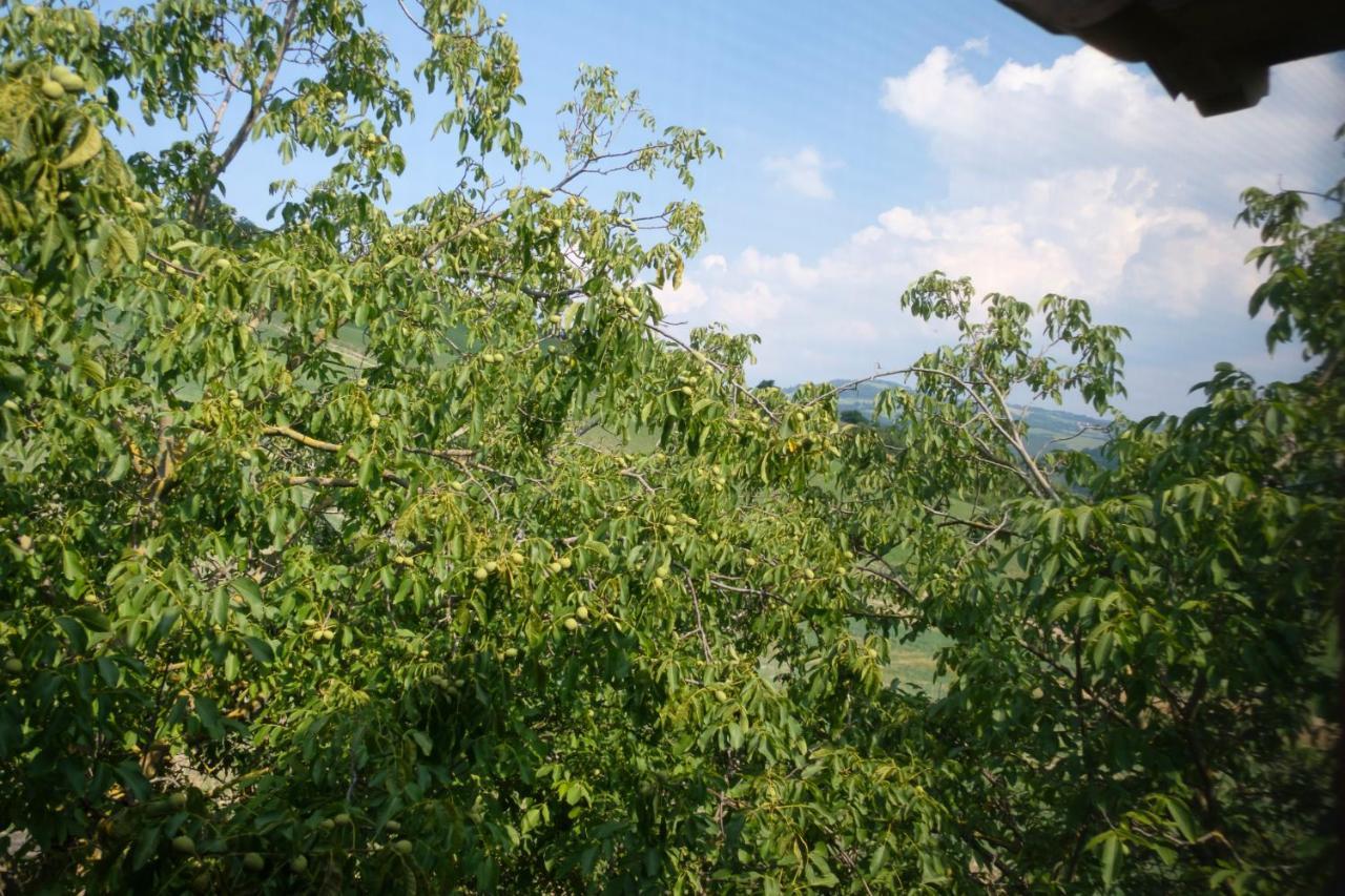 Al Sasseto B&B Montagnana  Exteriér fotografie