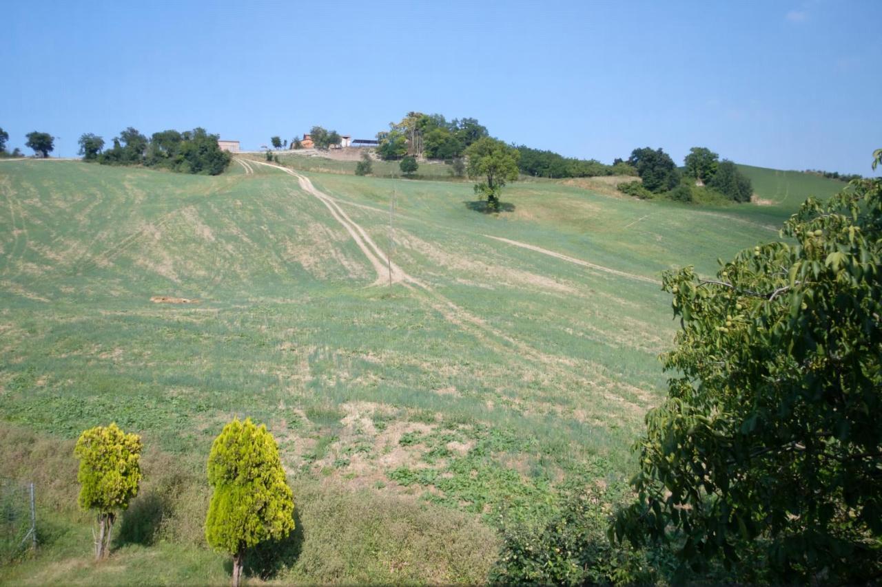 Al Sasseto B&B Montagnana  Exteriér fotografie