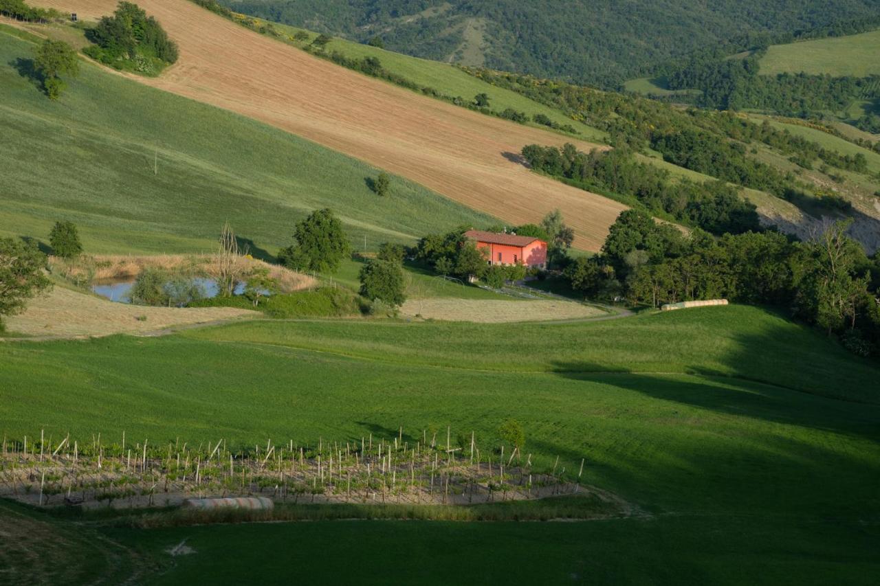 Al Sasseto B&B Montagnana  Exteriér fotografie