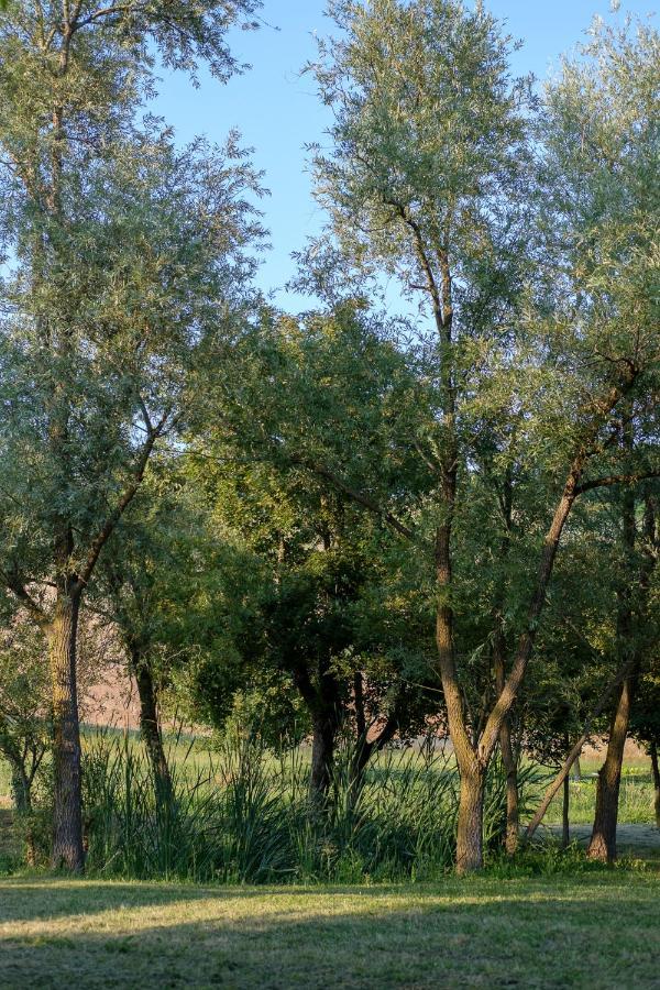 Al Sasseto B&B Montagnana  Exteriér fotografie